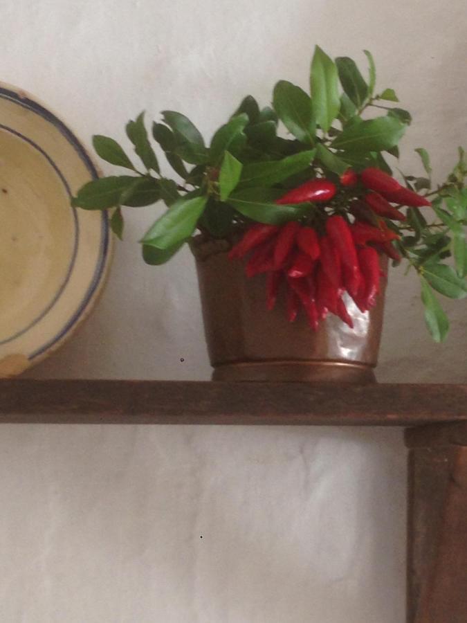 Borgo Trulli 1789 Bed & Breakfast Остуни Екстериор снимка